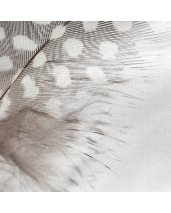 Federa HappyFriday Light Multicolore 60 x 60 cm