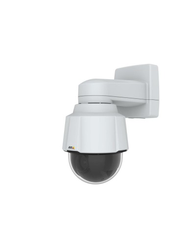 Videocamera di Sorveglianza Axis 02914-001