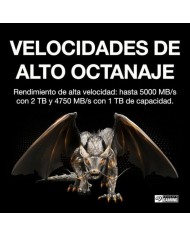 Hard Disk Seagate ZP2048GV3A002 2 TB SSD