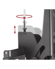 Supporto da Tavolo per Schermo B-Tech BT8432/B 49" Supporto da Tavolo per Schermo B-Tech BT8432/B 49"