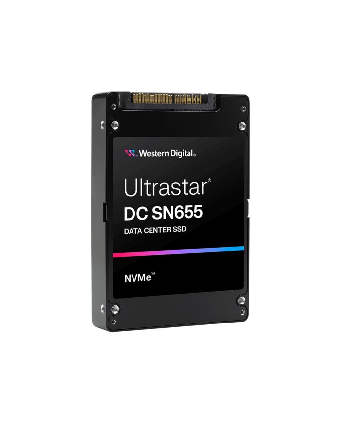 Hard Disk Western Digital 0TS2462 3,84 TB SSD