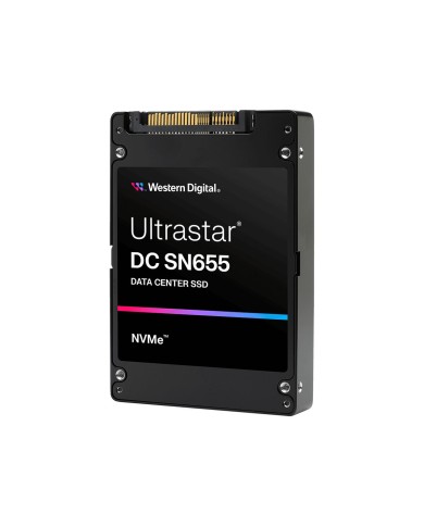 Hard Disk Western Digital 0TS2462 3,84 TB SSD Hard Disk Western Digital 0TS2462 3,84 TB SSD
