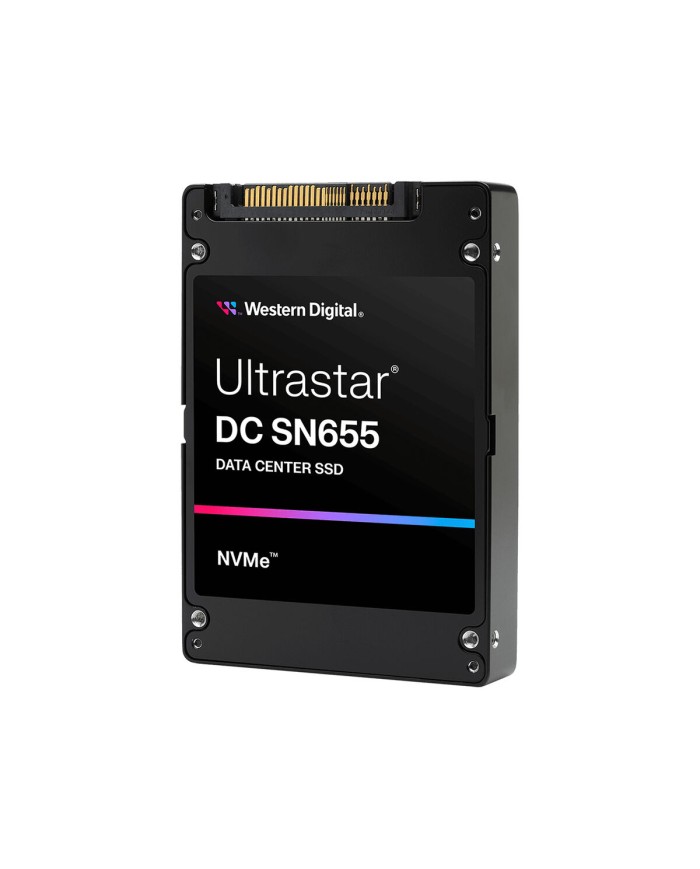 Hard Disk Western Digital 0TS2462 3,84 TB SSD