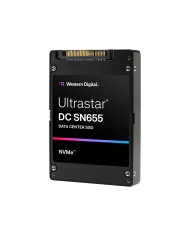 Hard Disk Western Digital 0TS2462 3,84 TB SSD