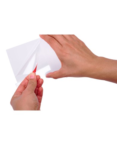 Protezione dello Schermo per Nintendo Switch Powera NSAC0006-02