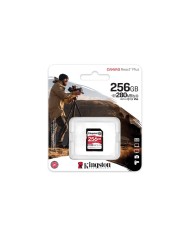 Scheda Di Memoria SDXC Kingston SDR2V6/256GB 256 GB Scheda Di Memoria SDXC Kingston SDR2V6/256GB 256 GB