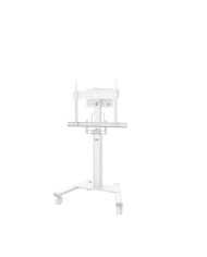 Supporto da Tavolo per Schermo V7 DM1HDD 17" 27" 32" Supporto da Tavolo per Schermo V7 DM1HDD 17" 27" 32"