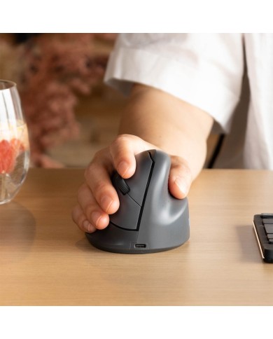 Mouse Ergonomico Ottico R-Go RGOHEBAMRWL Grigio 1750 dpi