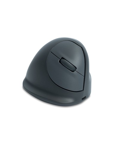 Mouse Ergonomico Ottico R-Go RGOHEBAMRWL Grigio 1750 dpi