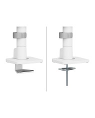 Supporto da Tavolo per Schermo Neomounts DS65S-950WH2 34" Supporto da Tavolo per Schermo Neomounts DS65S-950WH2 34"