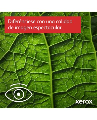 Stampante Laser Xerox C415V_DN