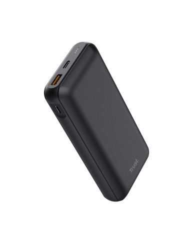 Powerbank Trust 24880