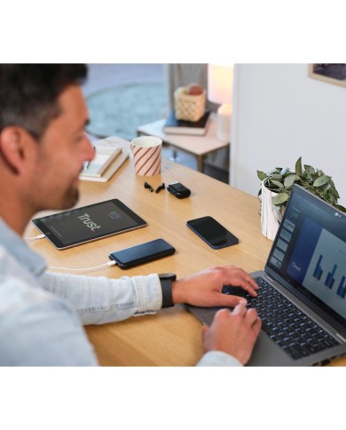 Powerbank Trust 24879