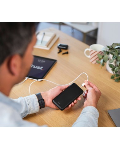 Powerbank Trust 24879