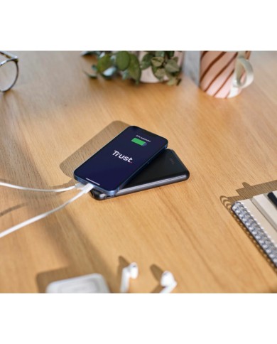 Powerbank Trust 24879