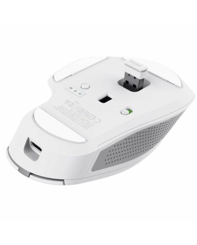 Mouse senza Fili Trust 24935 Bianco 3200 DPI