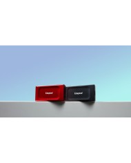 Hard Disk Esterno Kingston SXS1000R/2000G Rosso 2 TB