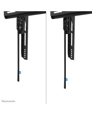 Supporto TV Neomounts WL35-750BL18 43"
