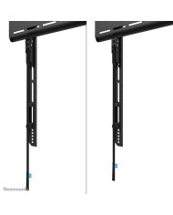 Supporto TV Neomounts WL30-750BL18 43"