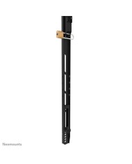 Supporto TV Neomounts WL30-750BL18P 100 kg 98"