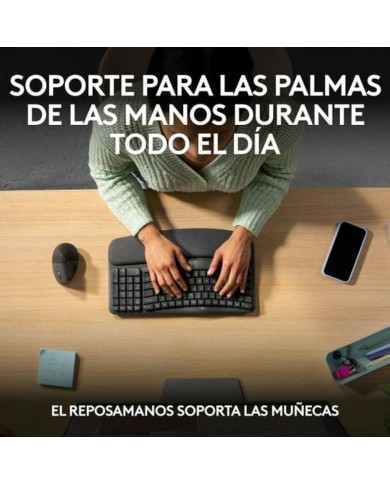 Tastiera Logitech 920-012296 Grafite Spagnolo QWERTY