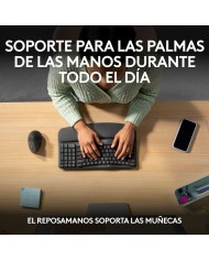 Tastiera Logitech 920-012296 Grafite Spagnolo QWERTY Tastiera Logitech 920-012296 Grafite Spagnolo QWERTY