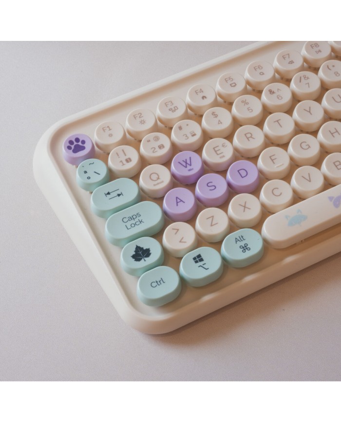 Tastiera e Mouse FR-TEC TNK4001 QWERTY