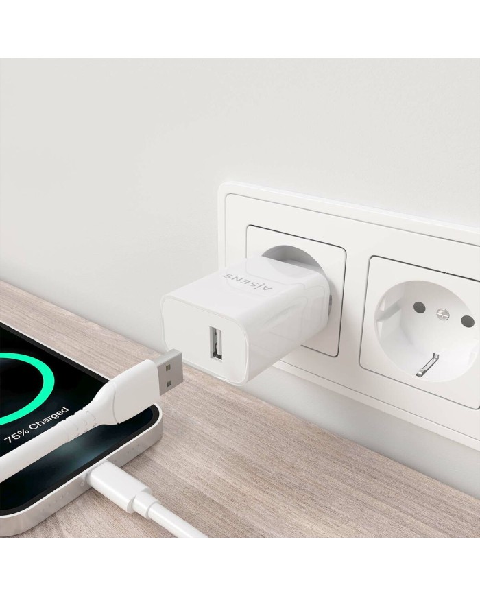 Caricabatterie da Parete Aisens A110-0853 Bianco