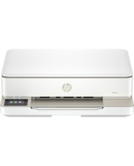 Stampante Multifunzione HP ENVY 6110E