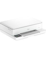 Stampante Multifunzione HP ENVY 6110E