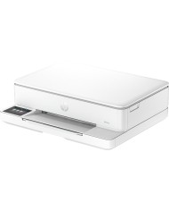Stampante Multifunzione HP ENVY 6110E