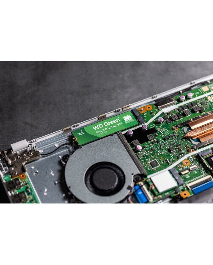 Hard Disk Western Digital WDS100T4G0E-00CPS0 1 TB SSD