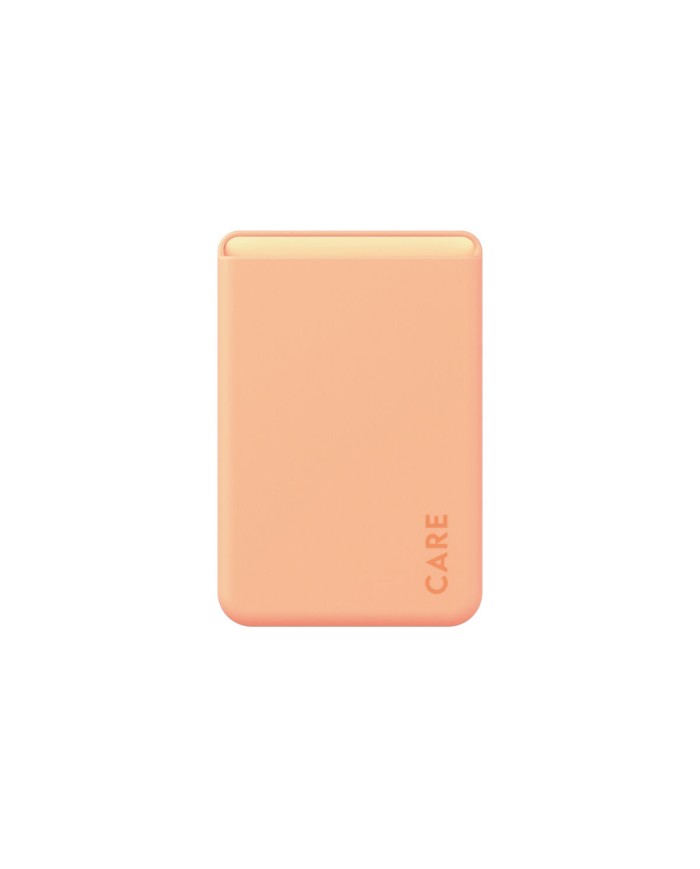 Custodia per Cellulare Panzer Glass 1446 Trasparente Apple