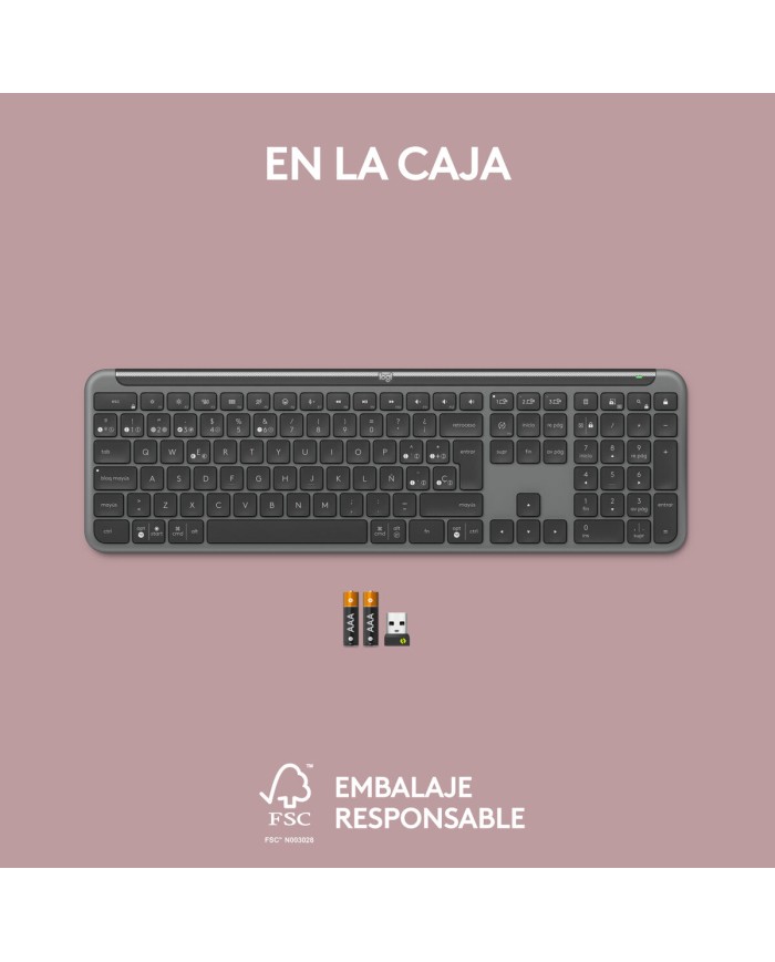 Tastiera Wireless Logitech 920-012455 Grafite QWERTY Tastiera Wireless Logitech 920-012455 Grafite QWERTY