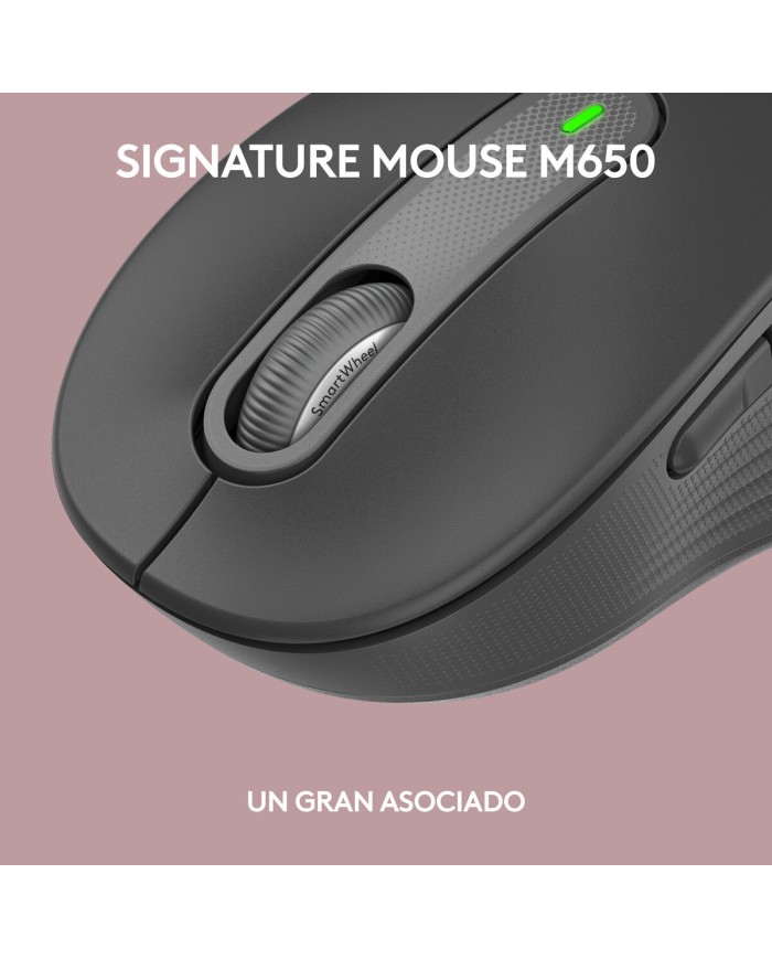 Tastiera Wireless Logitech 920-012455 Grafite QWERTY Tastiera Wireless Logitech 920-012455 Grafite QWERTY