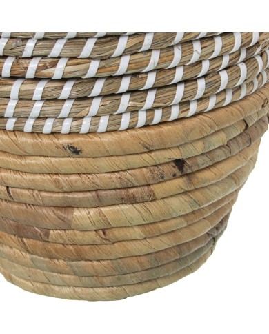 Vaso Alexandra House Living Erba marina 21 x 21 x 30 cm Vaso Alexandra House Living Erba marina 21 x 21 x 30 cm