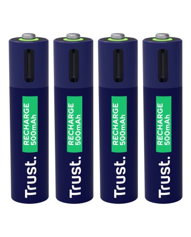 Batterie Trust 25671