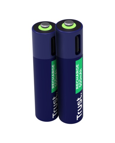 Batterie Trust 25585