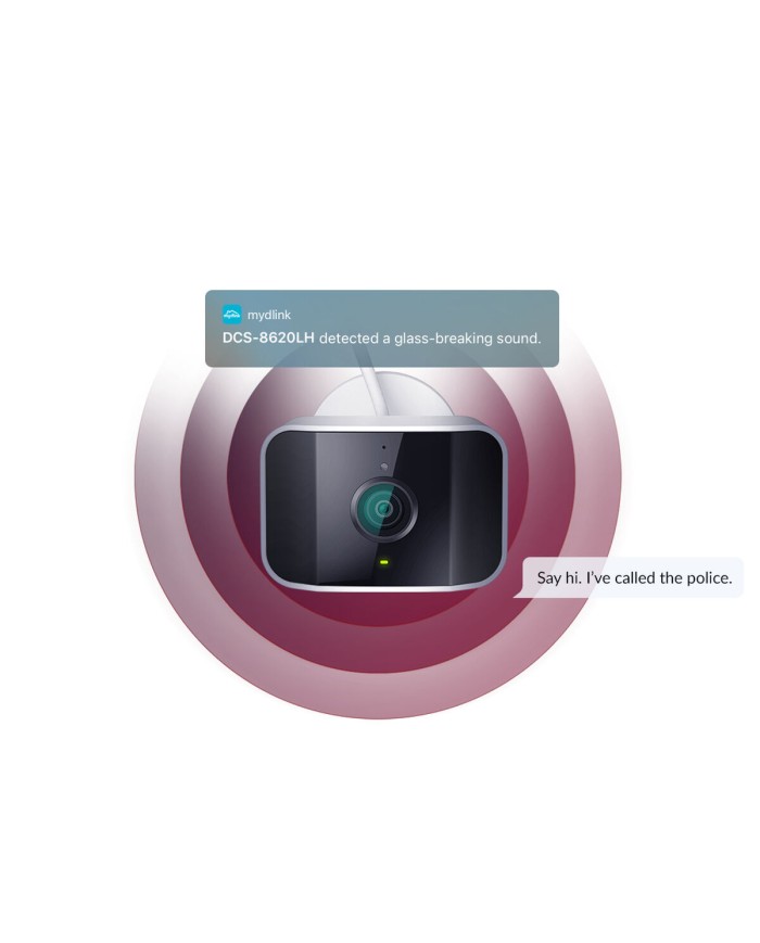 Videocamera di Sorveglianza D-Link DCS-8620LH