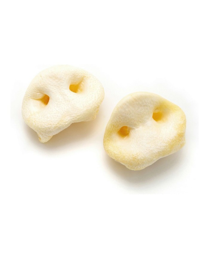 mangime Gloria mangime Gloria