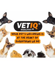 Integratori e vitamine Mark & Chappell VETIQ ARTHRITI-UM ADVANCED