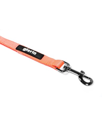 Guinzaglio per Cani Gloria Arancio S