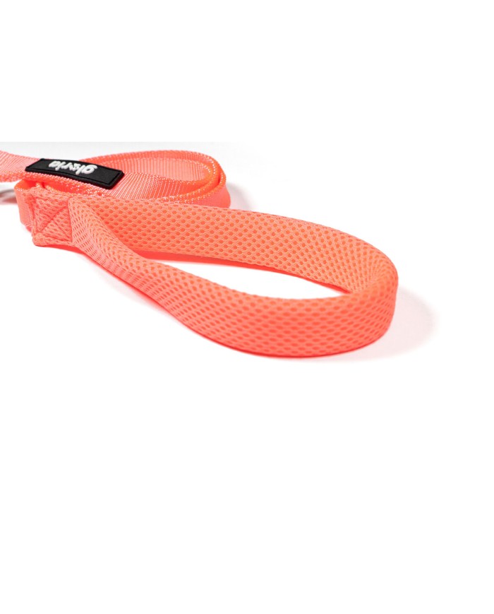 Guinzaglio per Cani Gloria Rosa S