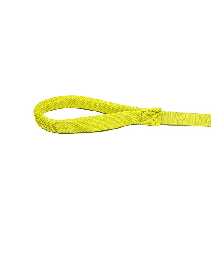 Guinzaglio per Cani Gloria Giallo S