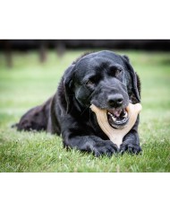 Giocattoli per cani Nylabone Pollo 11 Crema animali Giocattoli per cani Nylabone Pollo 11 Crema animali