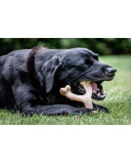 Giocattoli per cani Nylabone Pollo 11 Crema animali Giocattoli per cani Nylabone Pollo 11 Crema animali