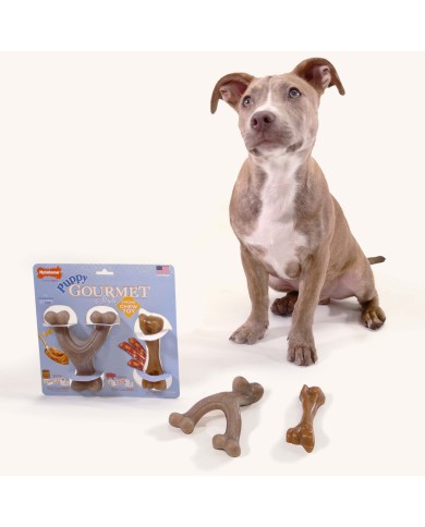 Giocattolo da mordere per cani Nylabone Marrone Burro Di Arachidi Bacon Artificiale S