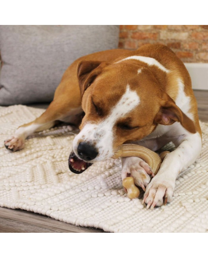 Giocattoli per cani Nylabone Pollo 11 Crema animali Giocattoli per cani Nylabone Pollo 11 Crema animali