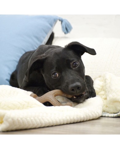 Giocattolo da mordere per cani Nylabone Marrone Burro Di Arachidi S