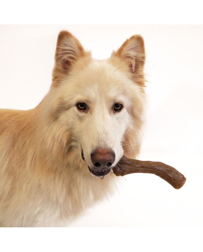 Giocattolo da mordere per cani Nylabone Marrone Burro Di Arachidi XL Giocattolo da mordere per cani Nylabone Marrone Burro Di Arachidi XL